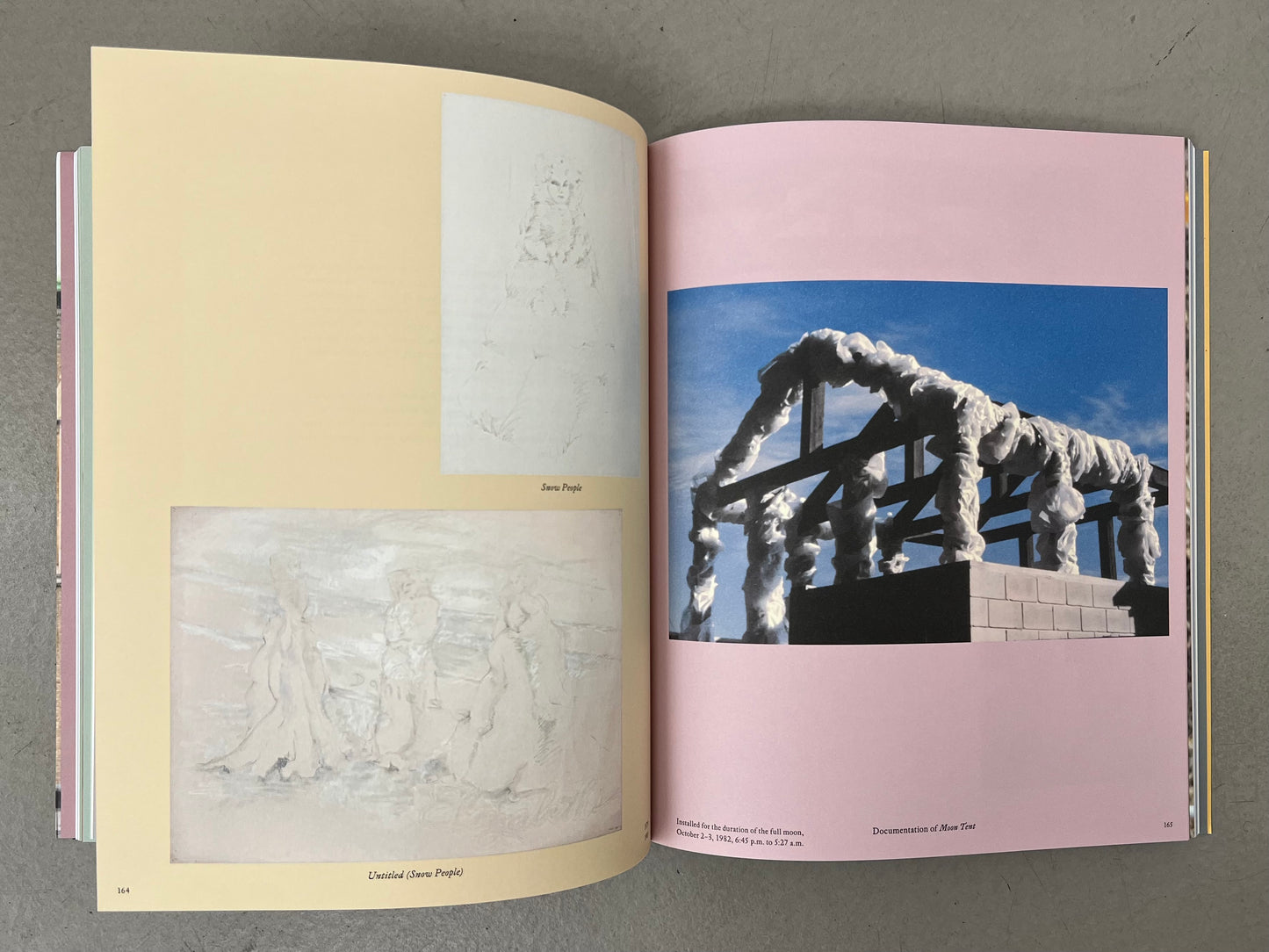 Ways of Attaching - Rosemary Mayer (Lenbachhaus, Ludwig Forum, Spike Island, Swiss Institute, Walther and Frank König Books)