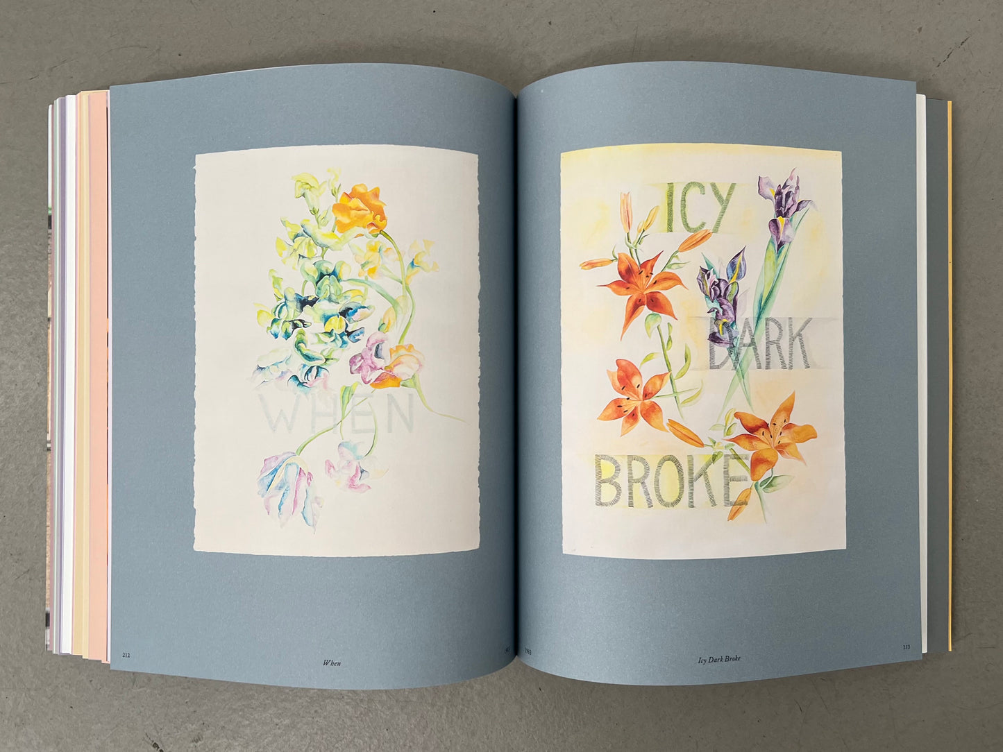 Ways of Attaching - Rosemary Mayer (Lenbachhaus, Ludwig Forum, Spike Island, Swiss Institute, Walther and Frank König Books)