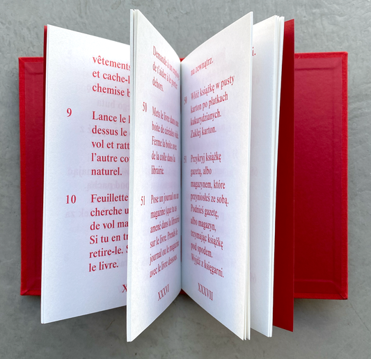 Comment voler des livres, Jak kraść książki - David Horvitz (Automatic Books)
