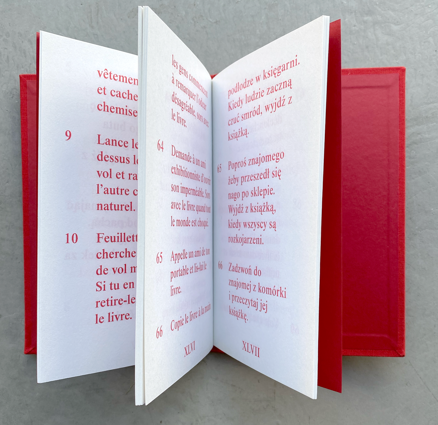 Comment voler des livres, Jak kraść książki, by David Horvitz (Automatic Books)