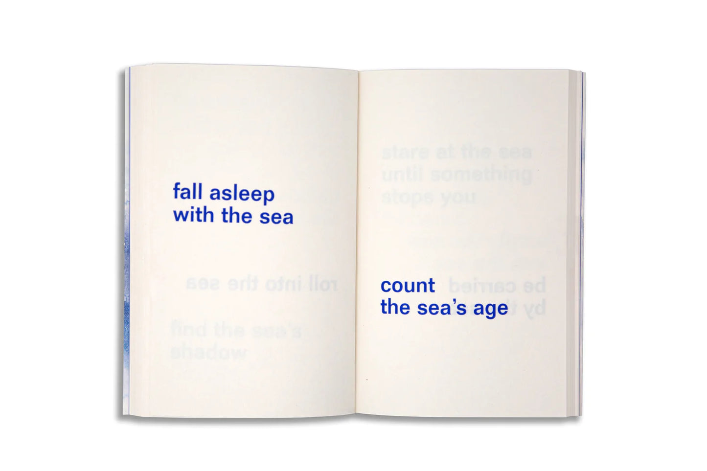 adjust the level of the sea, by David Horvitz (JBE Books & Fondation Carmignac)