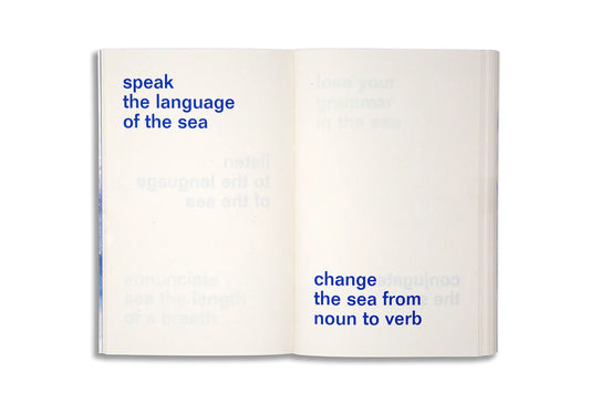 adjust the level of the sea - David Horvitz (JBE Books & Fondation Carmignac)