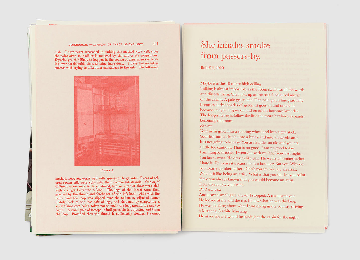 Merzbau-Garten - Various Artists (Kinderhook & Caracas)