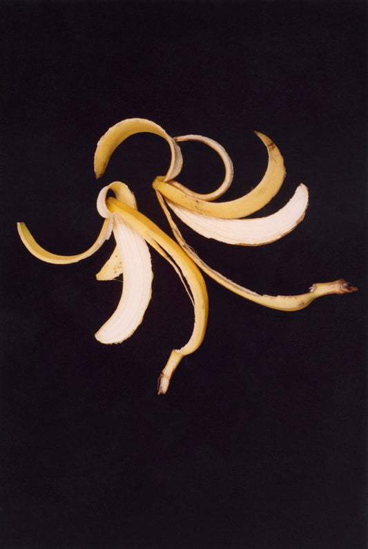 Anna Banana, the Roar Shack Banana Peel Test, 1993/2020