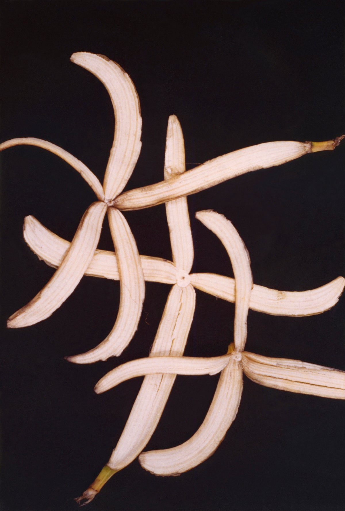 Anna Banana, the Roar Shack Banana Peel Test, 1993/2020