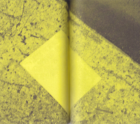 AAAAPPPPLLLEES - David Horvitz (Automatic Books)