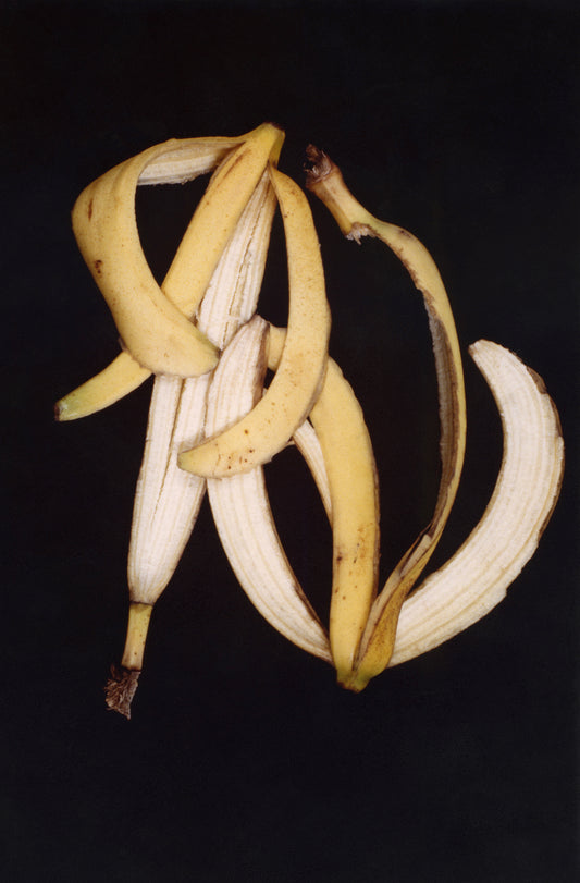 Anna Banana, the Roar Shack Banana Peel Test, 1993/2020