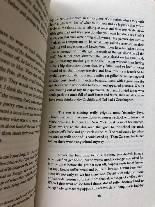 Midwinter Day - Bernadette Mayer