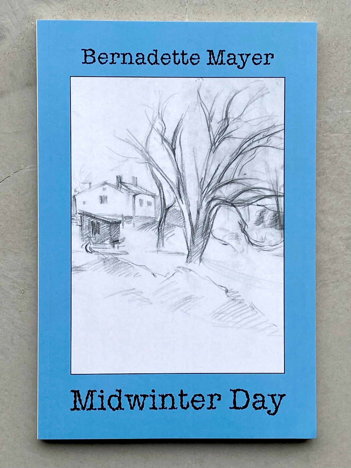 Midwinter Day - Bernadette Mayer