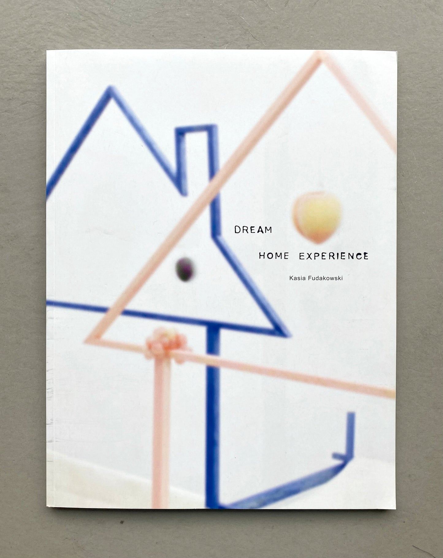 Dream Home Experience, by Kasia Fudakowski (Städtische Galerie Delmenhorst and Motto Books)