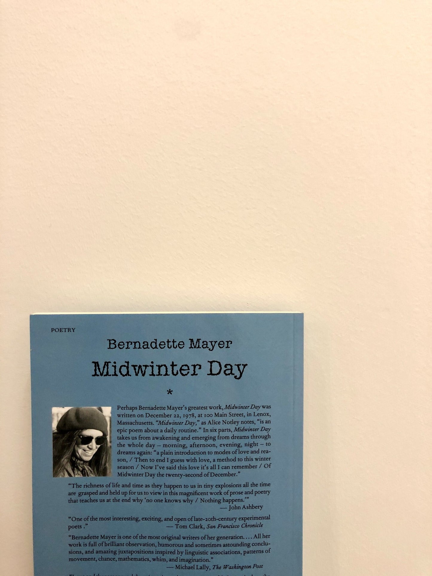 Midwinter Day - Bernadette Mayer