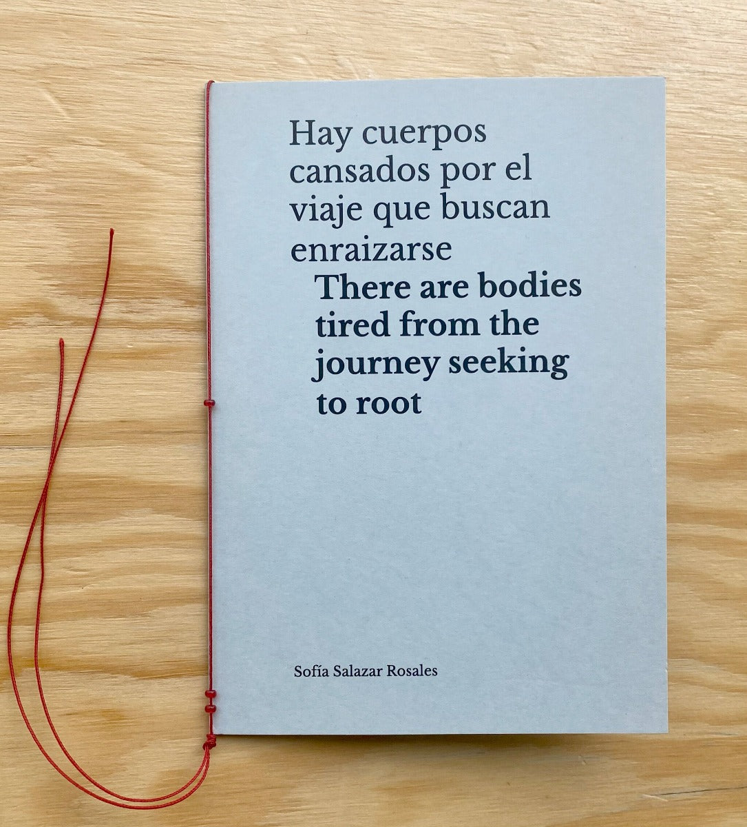 hay cuerpos cansados por el viaje que buscan enraizarse sofia salazar rosales