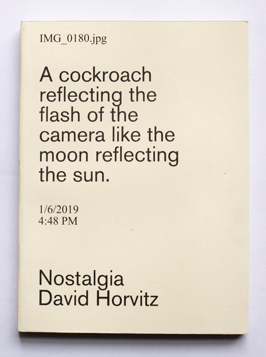 Nostalgia (2nd issue) - David Horvitz (Gato Negro Ediciones, Yvon Lambert, ChertLüdde)