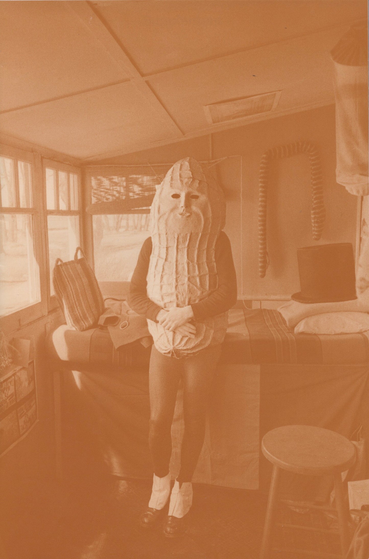 Supplement 5: Mr. Peanut Summit - Vincent Trasov (Fillip Editions)