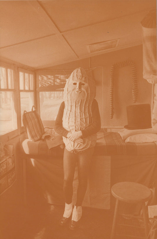 Supplement 5: Mr. Peanut Summit - Vincent Trasov (Fillip Editions)