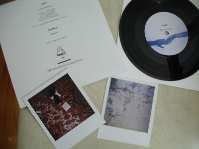 1000 Polaroid Split 7" - High Places, Xiu Xiu, David Horvitz