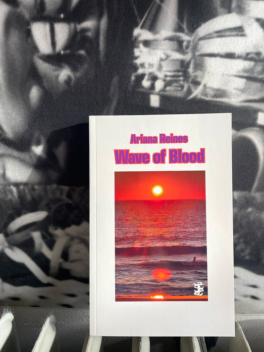 Wave of Blood, Ariana Reines, Divided books