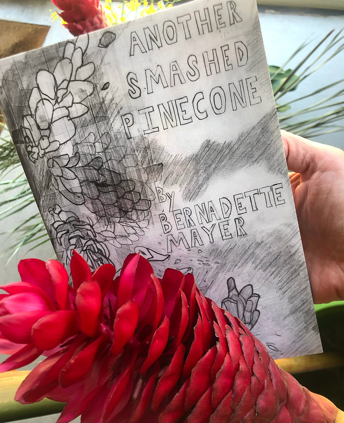 Bernadette Mayer, Another Smashed Pinecone (1998)