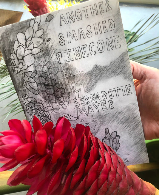 Bernadette Mayer, Another Smashed Pinecone (1998)