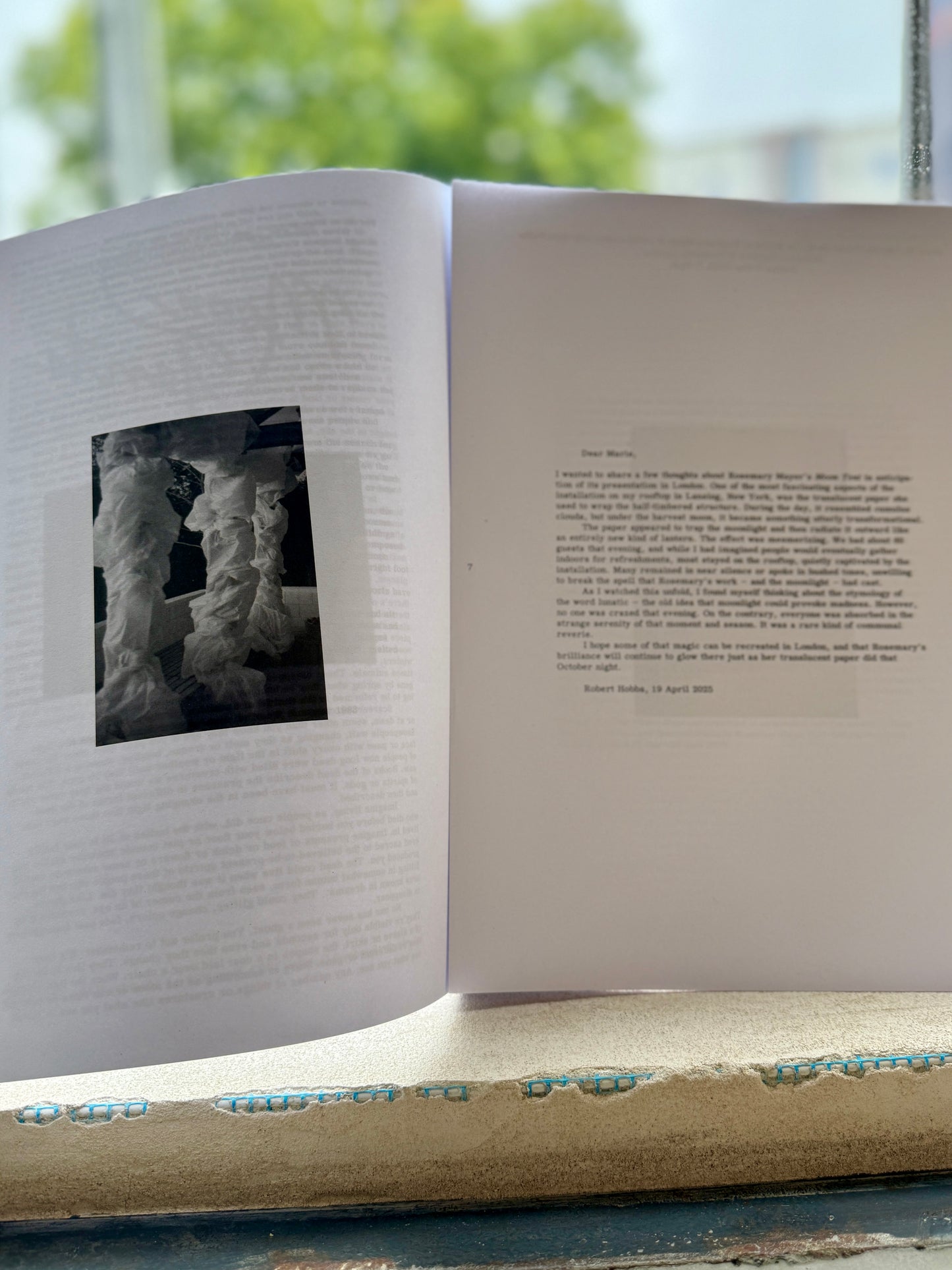 Hollybush Issue 18: Moon Tents - Rosemary Mayer (Hollybush Gardens)