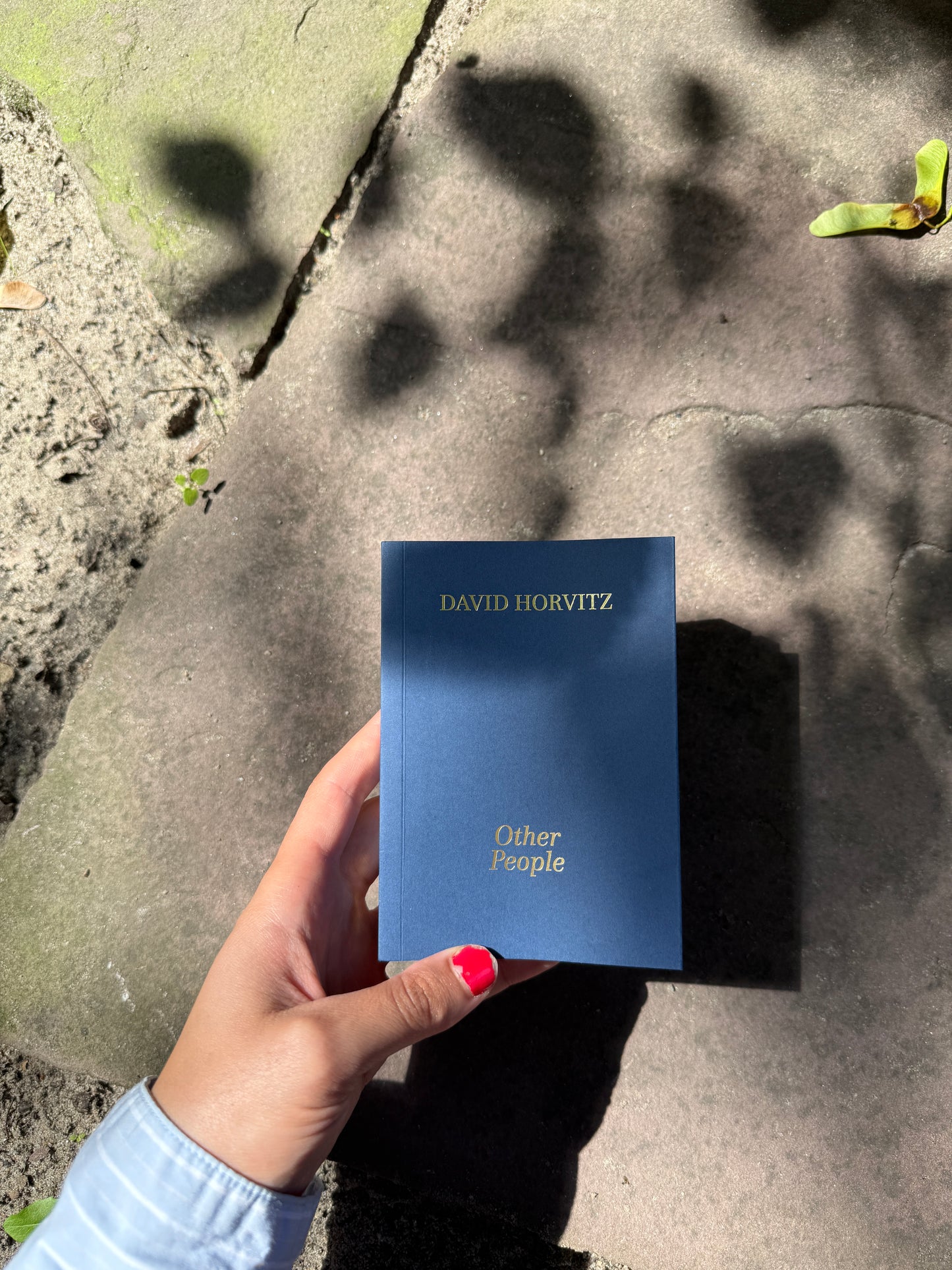 Other People - David Horvitz (RVB Books)