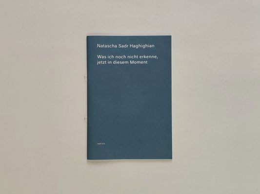 What I Do Not Yet Recognize, Now At This Very Moment/Was ich noch nicht erkenne, jetzt in diesem Moment - Natascha Sadr Haghighian (Bierka Verlag)