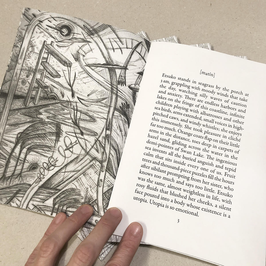 We'll Try Existing Another Day - Estelle Hoy and Zora Mann (Zitto Editions)