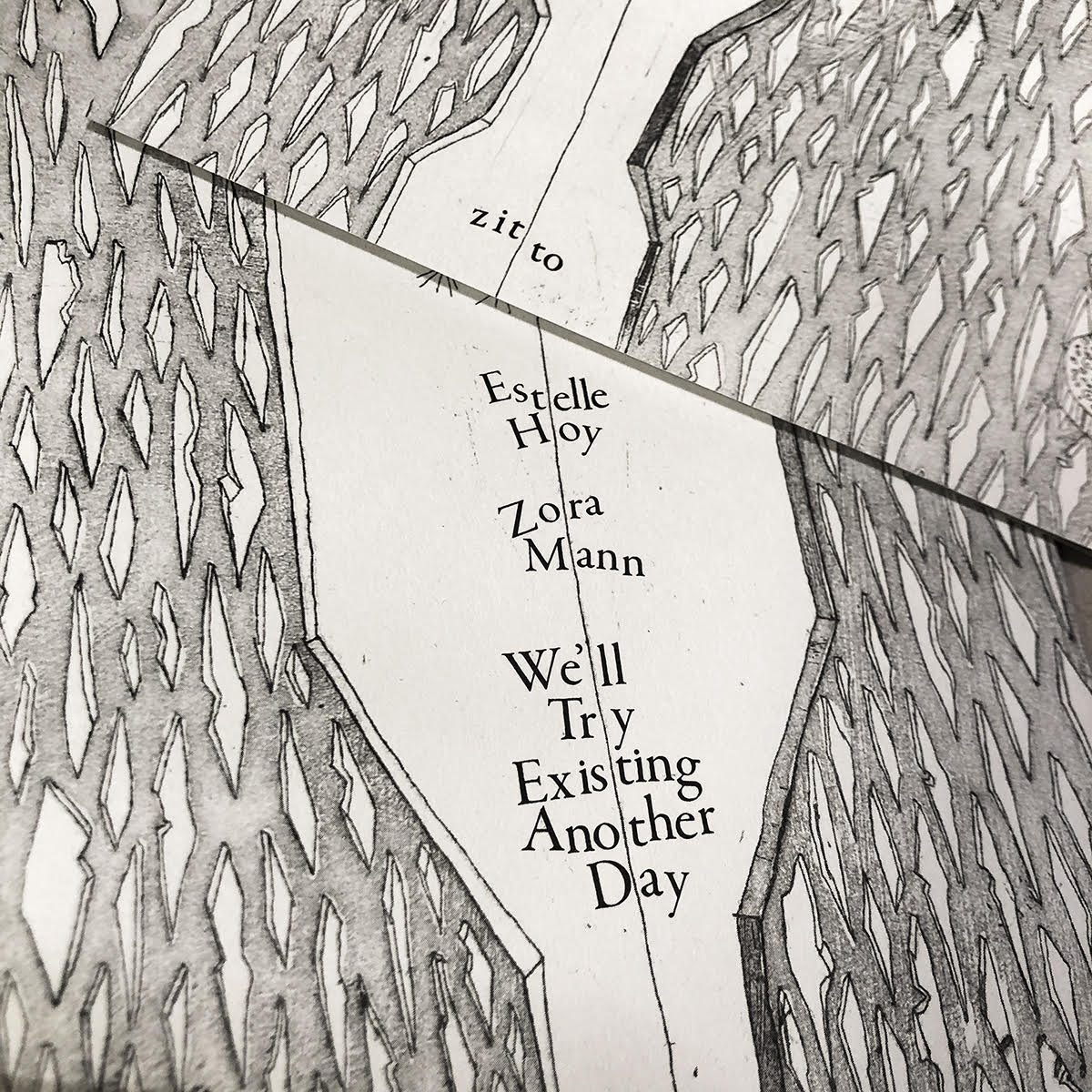 We'll Try Existing Another Day - Estelle Hoy and Zora Mann (Zitto Editions)