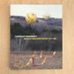TEMPORARY MONUMENTS: WORK BY ROSEMARY MAYER, 1977-1982 - Rosemary Mayer