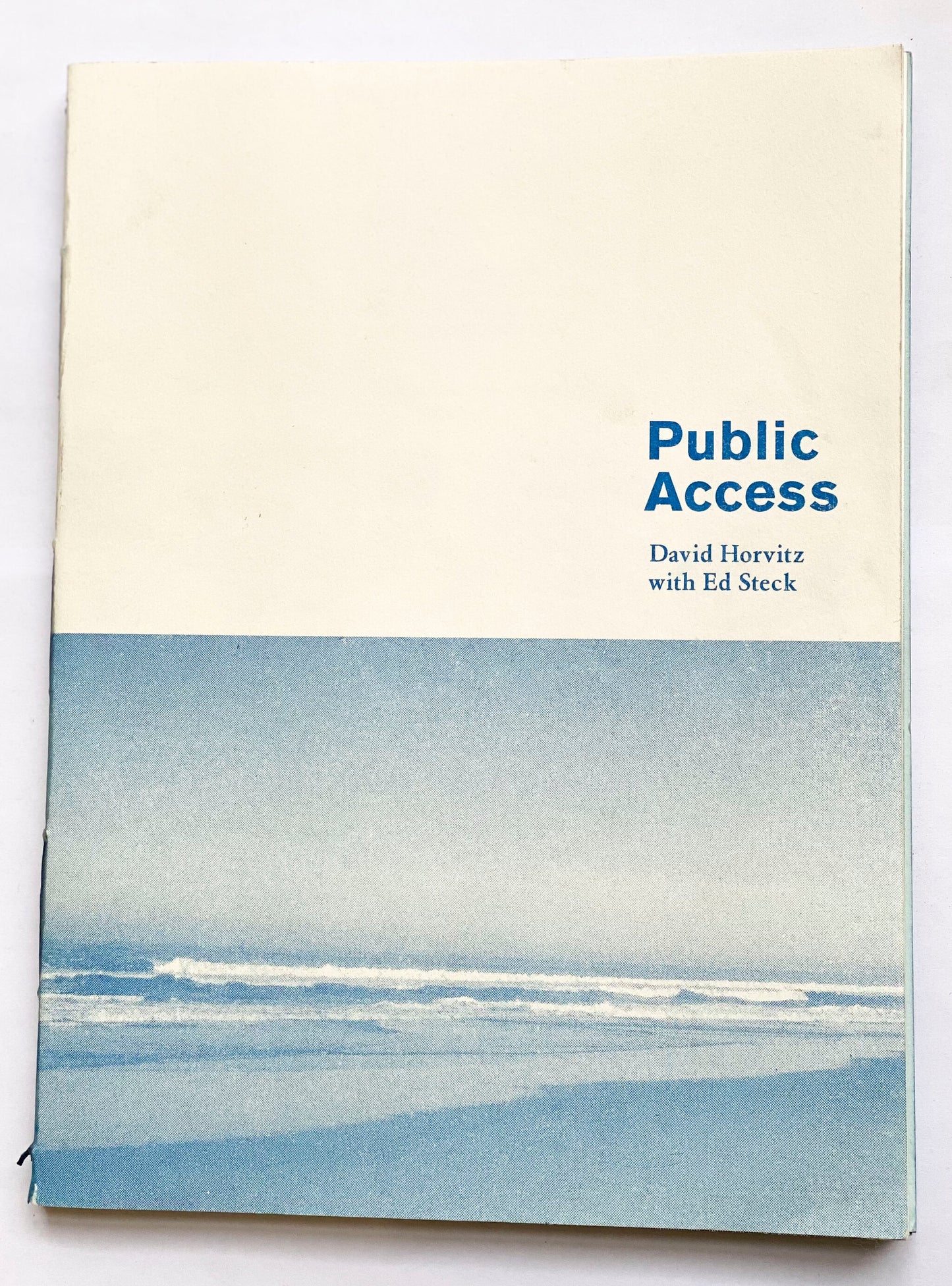 Public Access - David Horvitz, Ed Steck