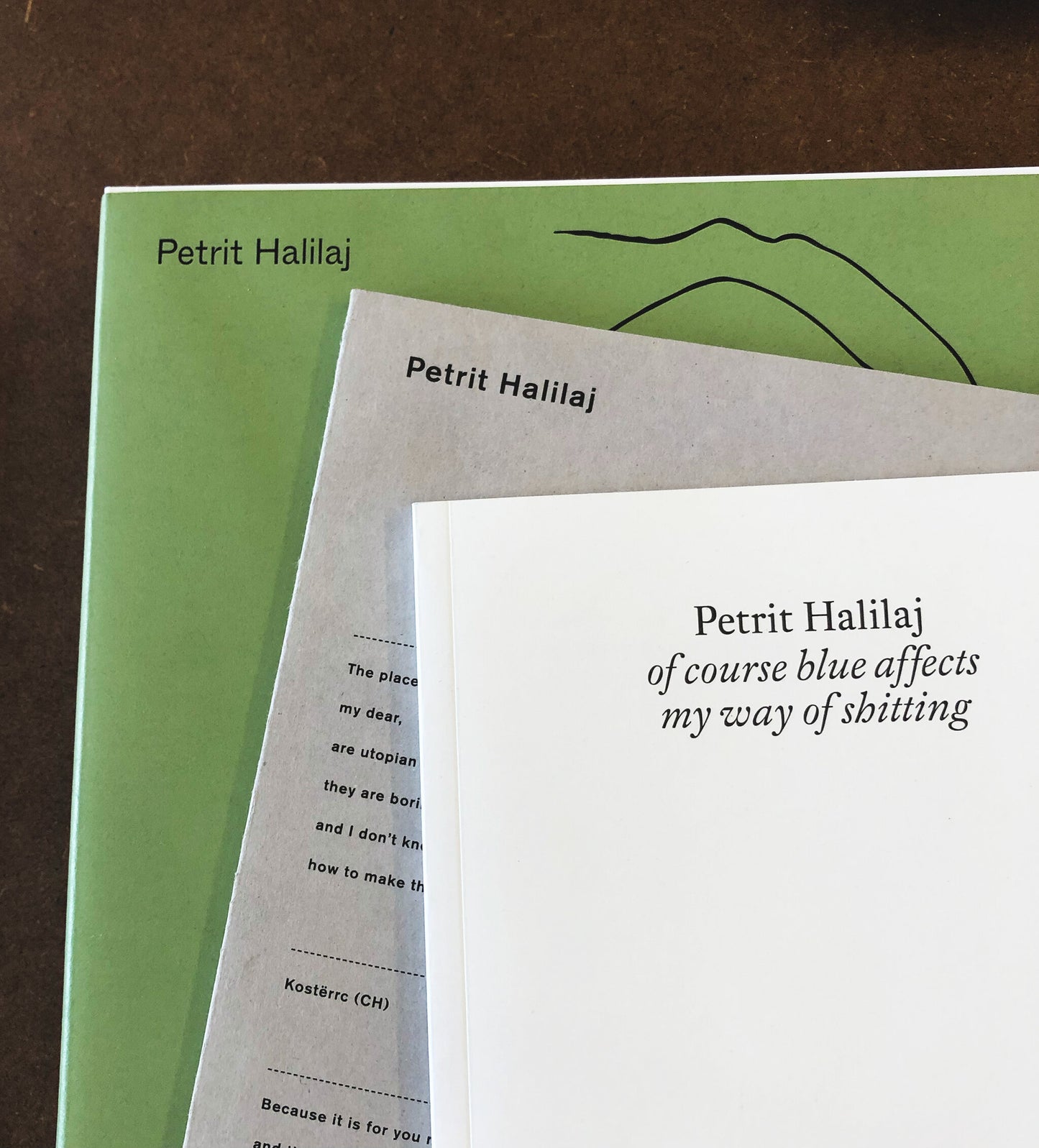 Petrit Halilaj – Exhibitions Catalogue. Verlag der Buchhandlung Walther König - Petrit Halilaj