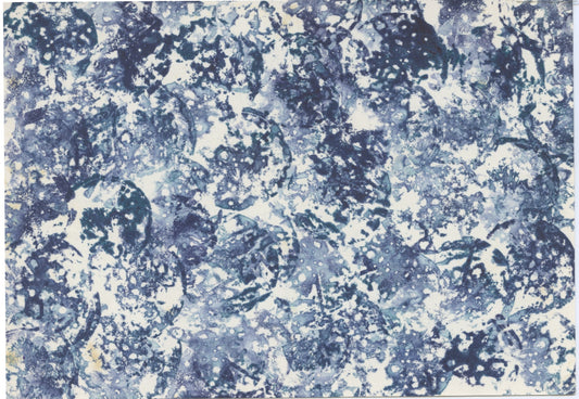 Untitled - Ann Noël