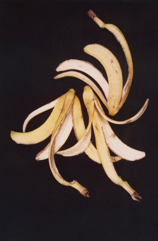Anna Banana, the Roar Shack Banana Peel Test, 1993/2020