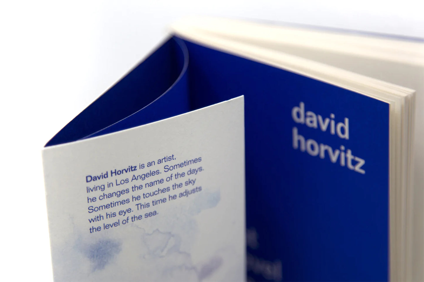 adjust the level of the sea - David Horvitz