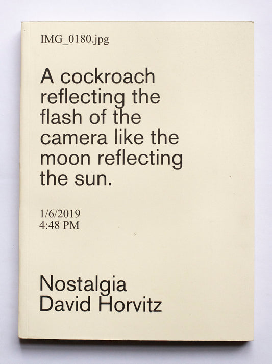 Nostalgia (2nd issue) - David Horvitz