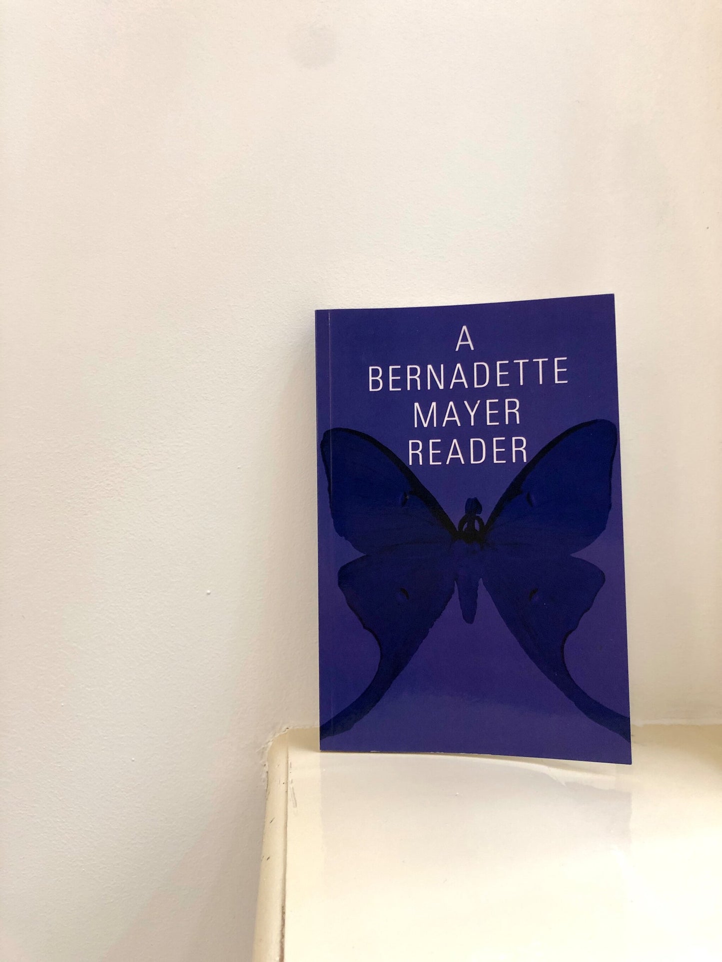 A Bernadette Mayer Reader - Bernadette Mayer