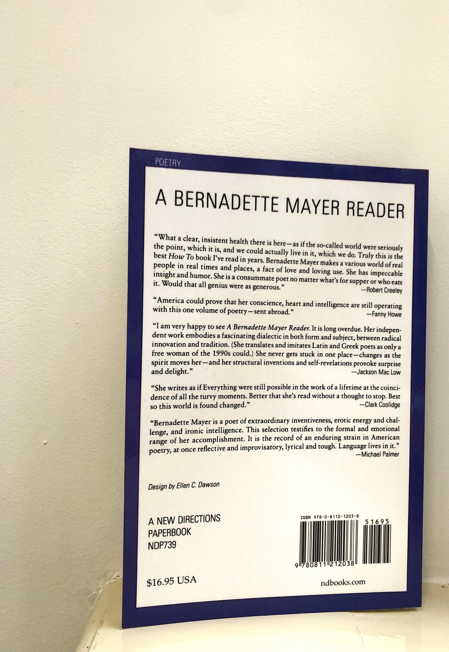 A Bernadette Mayer Reader - Bernadette Mayer